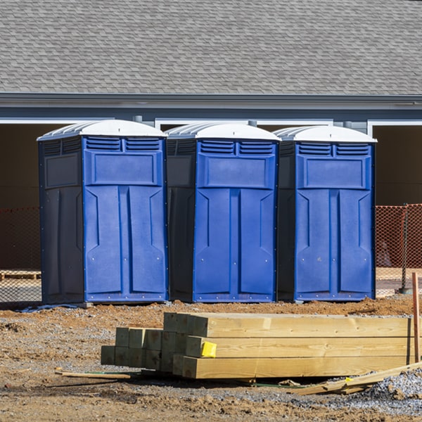 what is the cost difference between standard and deluxe porta potty rentals in Big Cabin